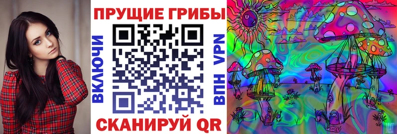 Псилоцибиновые грибы прущие грибы  Купить  Бабаево 