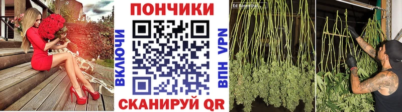 МАРИХУАНА план  Купить закладки  Бабаево 
